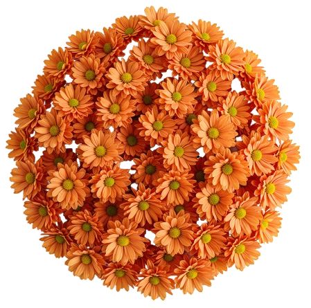 Orange Daisy Chrysanthemum Bouquet