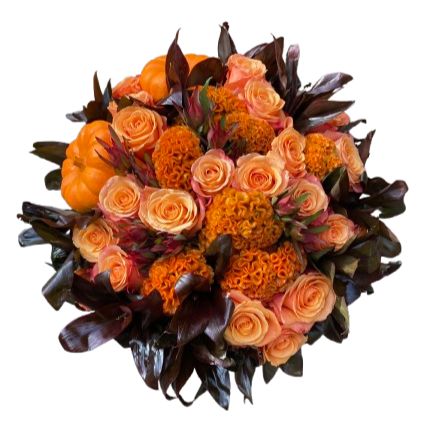 Orange Roses and Celosia Luxury Box