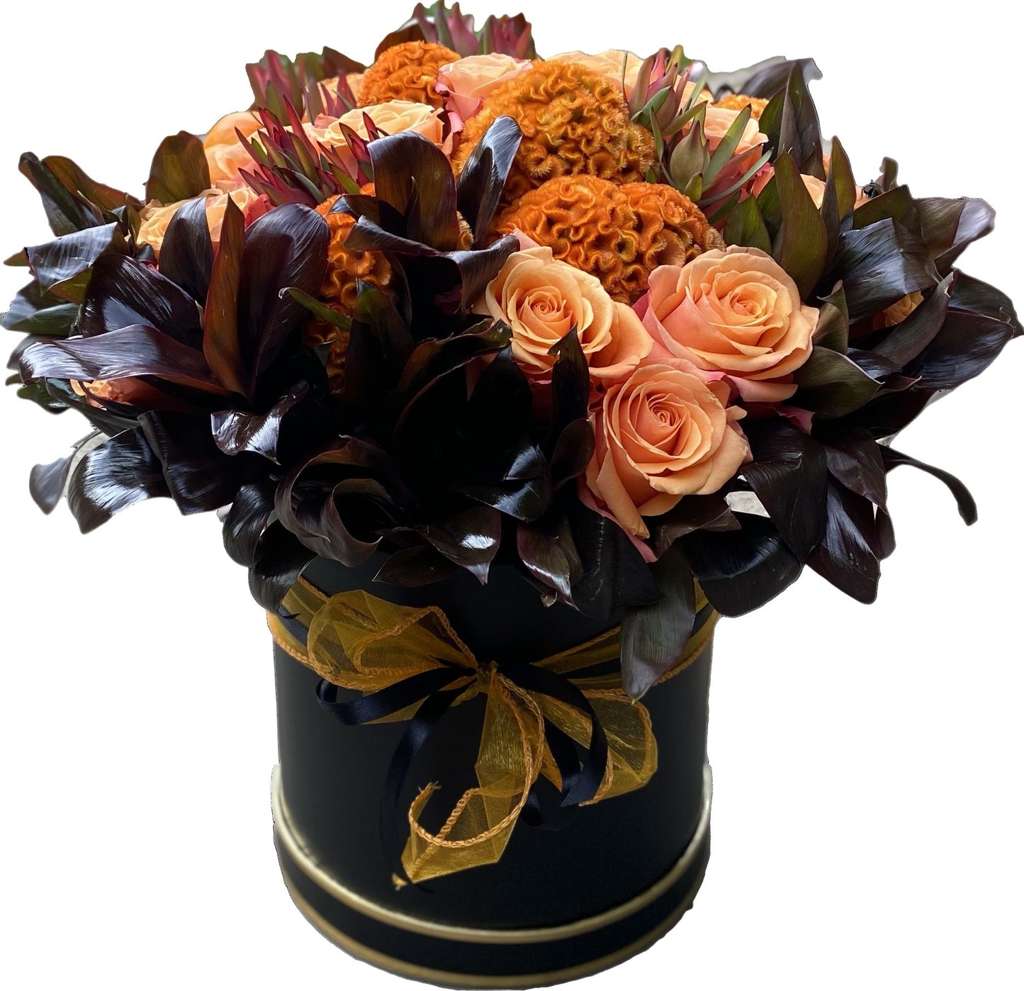 Orange Roses and Celosia Luxury Box