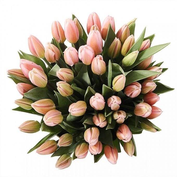Pastel Pink Tulips Bouquet