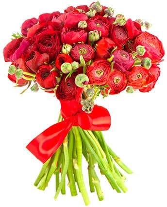 Red Ranunculus Bouquet - Florist London