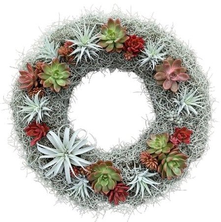 Spanish Moss Door Wreath with Succulent - Florist London