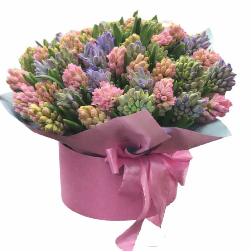 Spring Hyacinths in a Box - Florist London