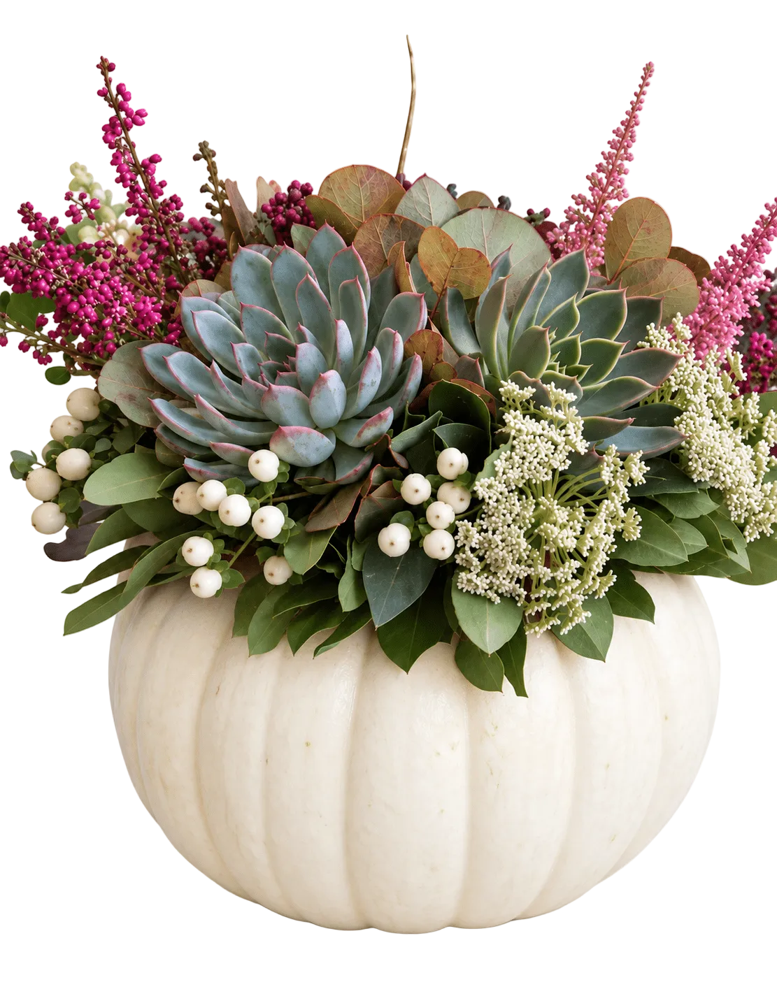 Succulent in White Pumpkin Arrangement - Florist London