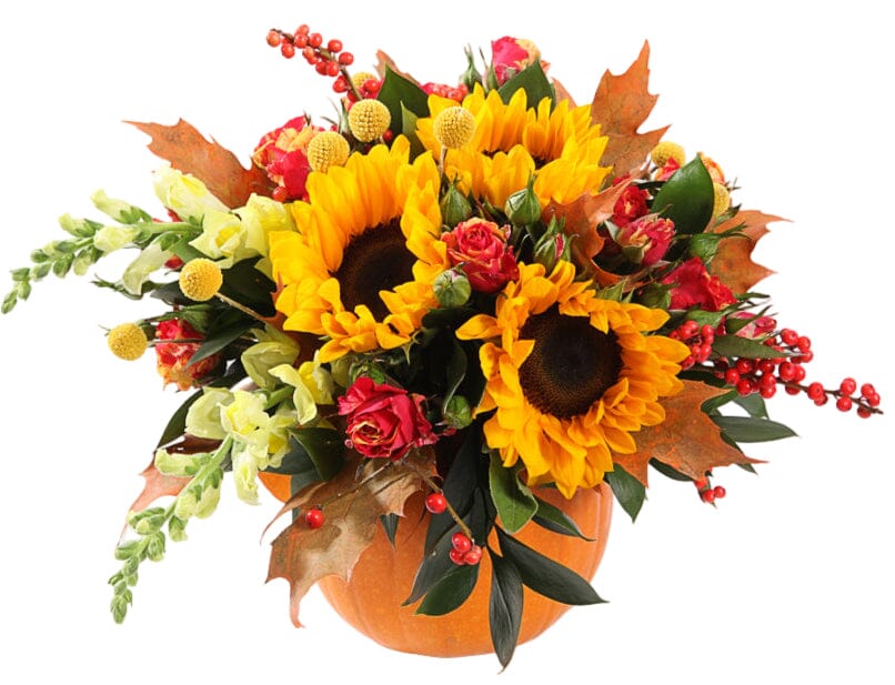 Sunflowers in Orange Oak Leaves Halloween Pumpkin - Florist London