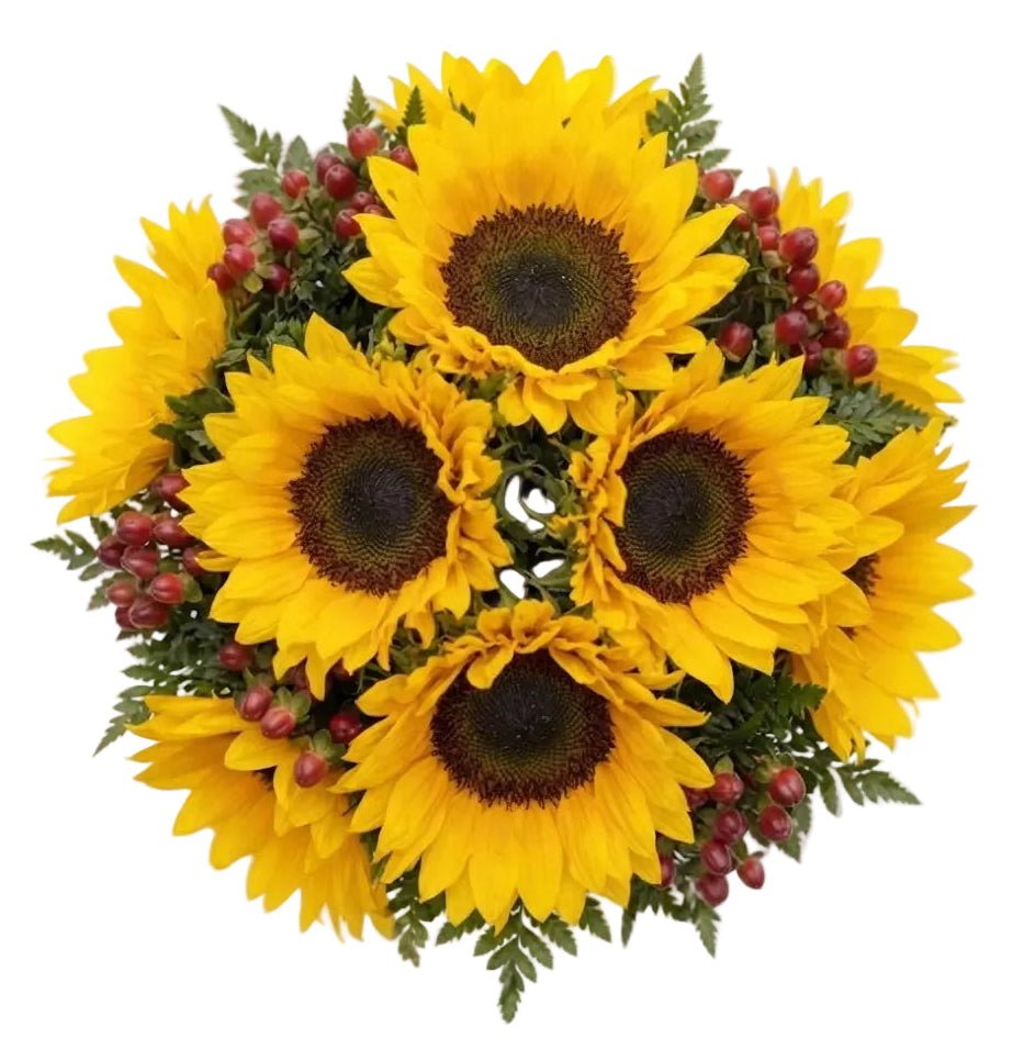 Sunflowers with Hypericum Bouquet - Florist London