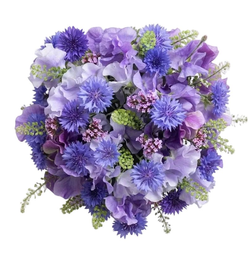 Sweet Pea and Cornflower Bouquet - Florist London