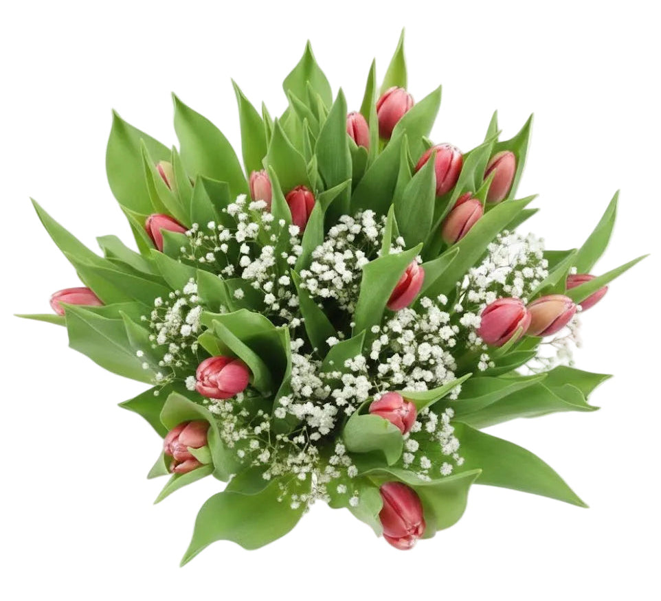Tulips with Gypsophila Bouquet - Florist London