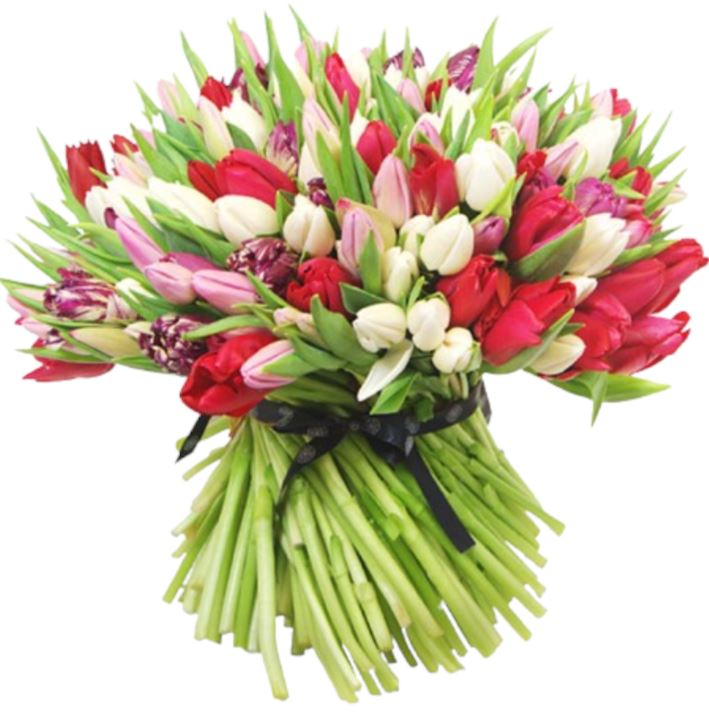 White and Pink to Red Tulips Bouquet - Florist London