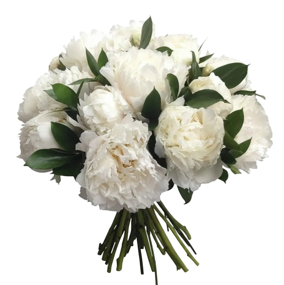White Peonies with Ruscus Bouquet - Florist London