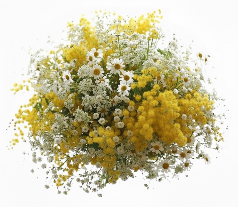 Wild with Mimosa Bouquet - Florist London