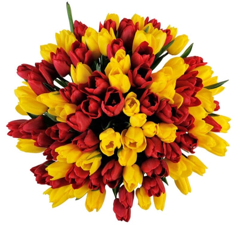 Yellow and Red Tulips Bouquet - Florist London