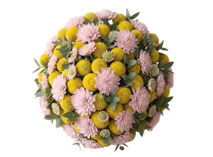 Yellow Craspedia with Scabiosa Modern Bouquet - Florist London