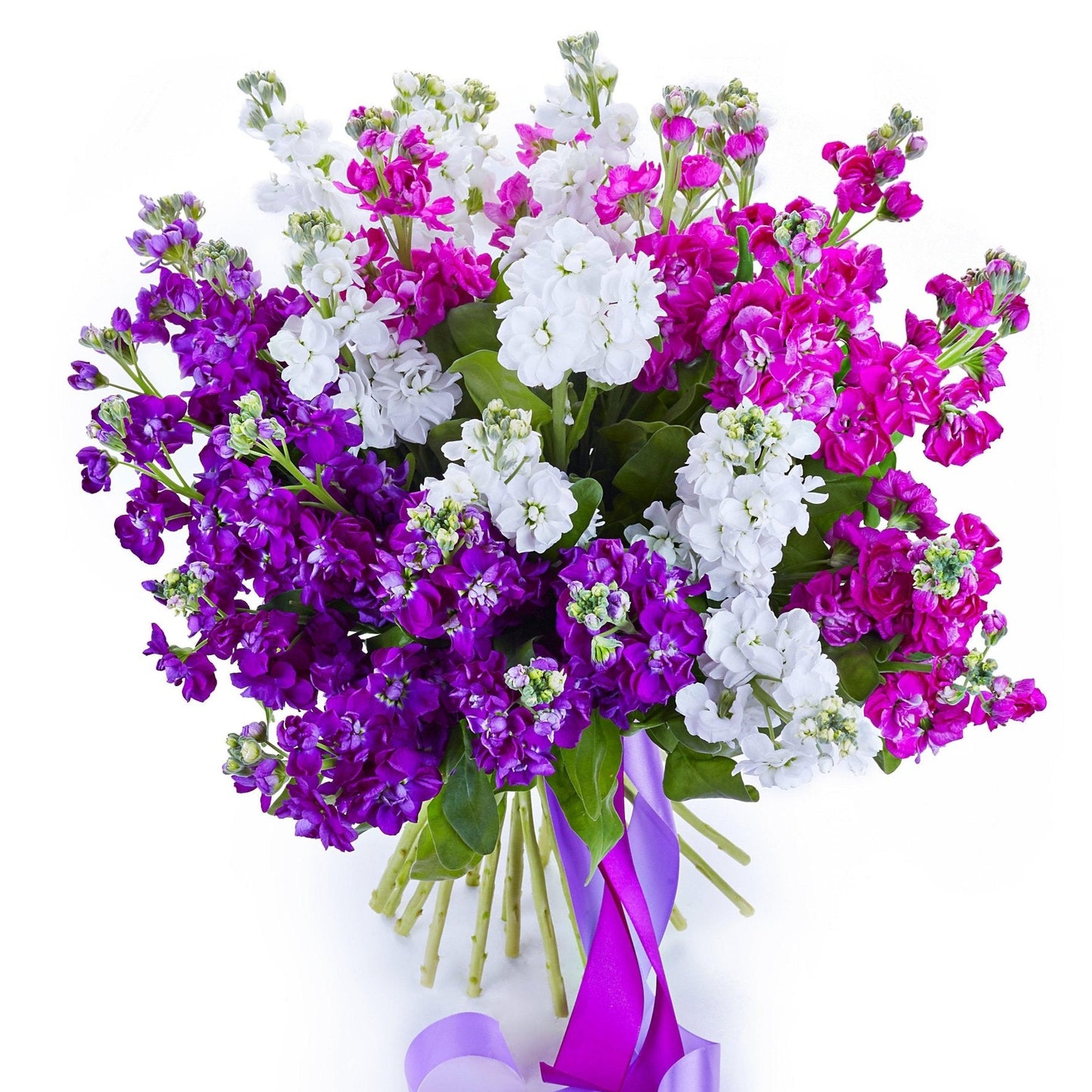 3 Colors of Stock Bouquet - Florist London
