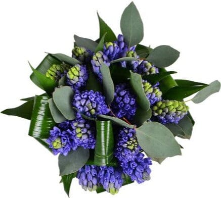Blue Hyacinth with Greenery Bouquet - Florist London