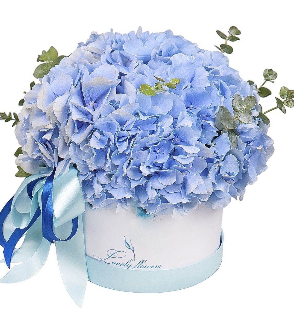 Blue Hydrangea with Eucalyptus Box