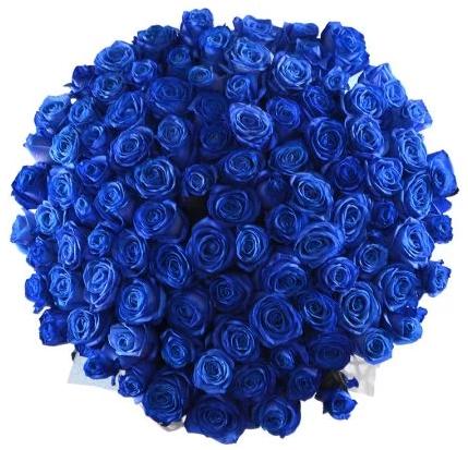 Blue Roses Bouquet - Florist London