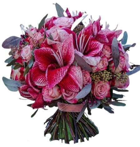 Blush Amaryllis Bouquet - Florist London