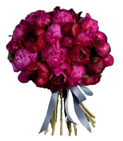 Bouquet of Cerise and Red Peonies - Florist London