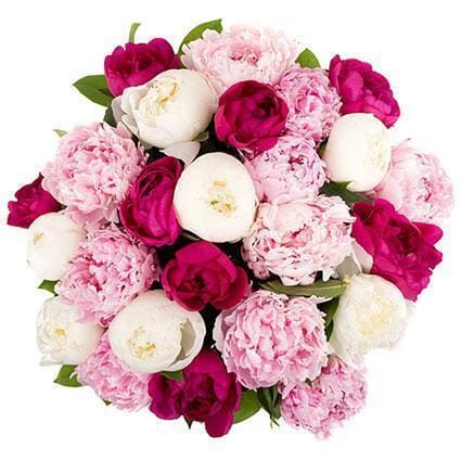 Bouquet of Colorful Peonies