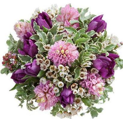Bouquet of Purple Tulips and Hyacinths