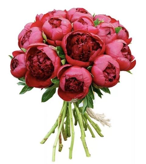 Bouquet of Red Peonies - Florist London