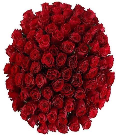 Bouquet of Rhodos Roses