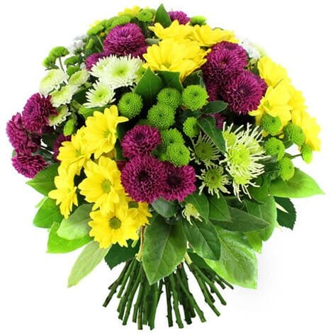 Bright Colorfully Chrysanthemum Bouquet - Florist London