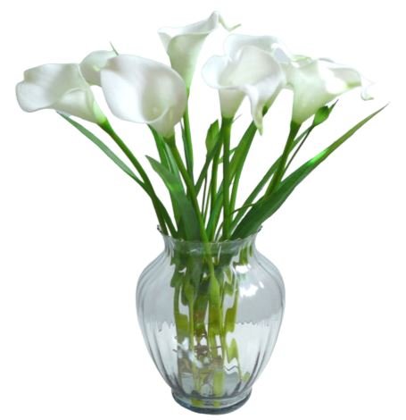 Calla Lily in Vase - Florist London
