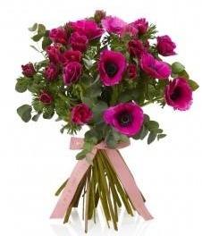 Cerise Anemone Bouquet - Florist London