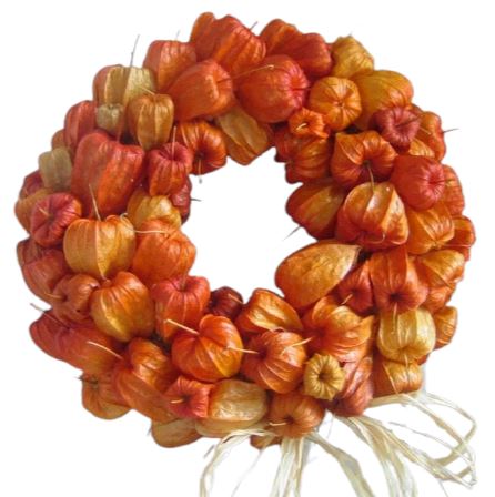 Chinese Lantern Halloween Wreath - Florist London