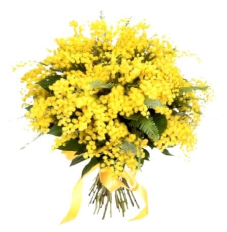 Classic Mimosa Bouquet - Florist London