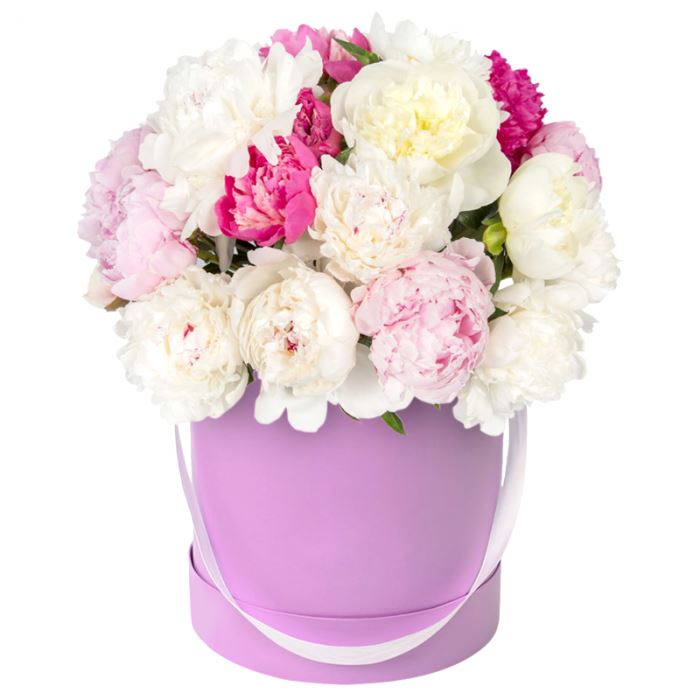 Colour Palette of Peonies - Florist London