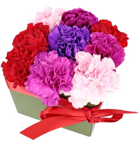 Colourful Carnation Box - Florist London