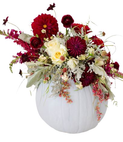 Dahlia in White Pumpkin - Florist London