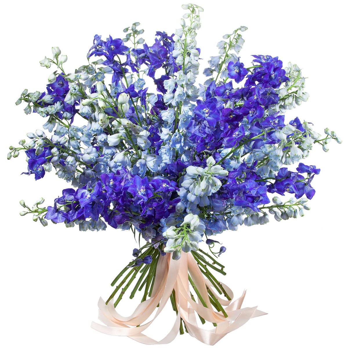 Dark and Light Blue Delphinium - Florist London