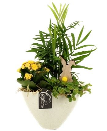 Easter Composition in Ceramic Pot - Florist London