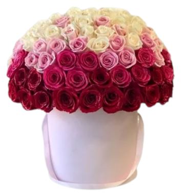 Gradient Luxury Roses Box - Florist London