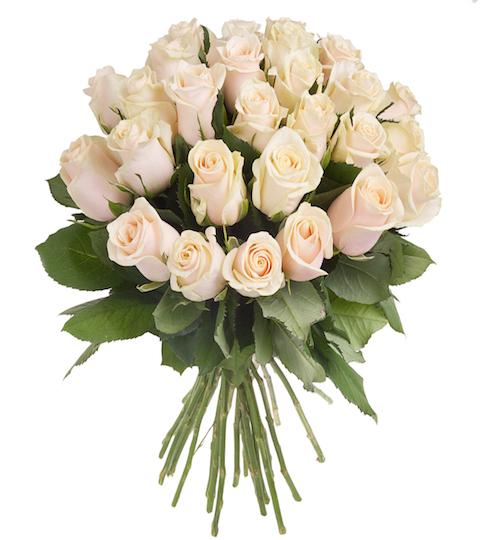 Ivory Roses Bouquet - Florist London