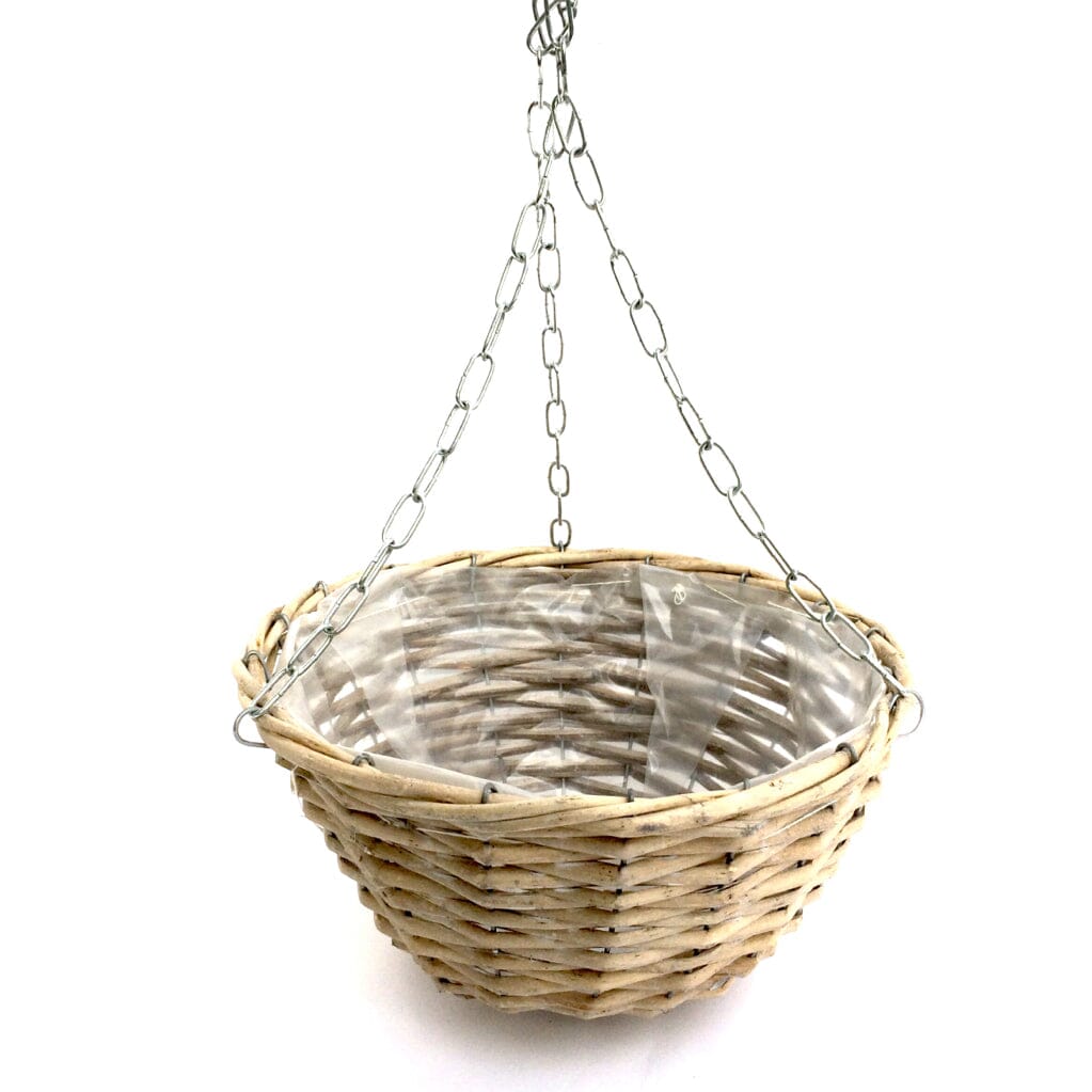 Jasminum Hanging Pot - Florist London