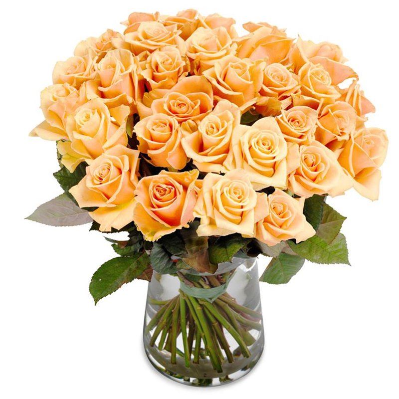 Light Orange Roses Bouquet in Vase - Florist London