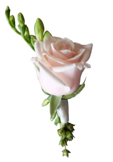 Light Pink Rose and Freesia Buttonhole - Florist London