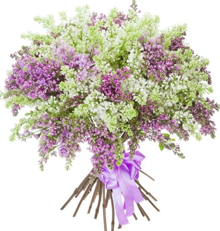 Lilac Bouquet