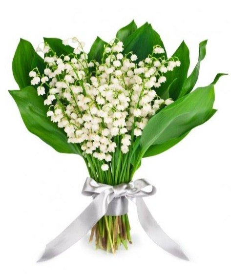 Lily of the Valley Fragrant Bouquet - Florist London