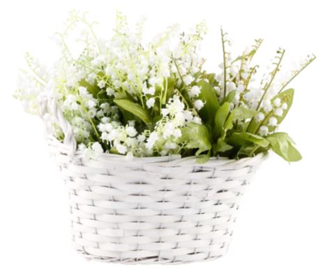Lily of Valley Flowers in Basket - Florist London