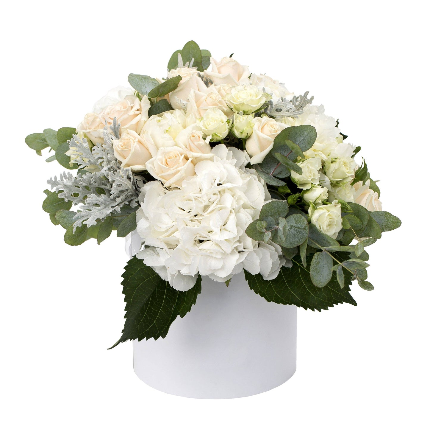 Luxury White Box