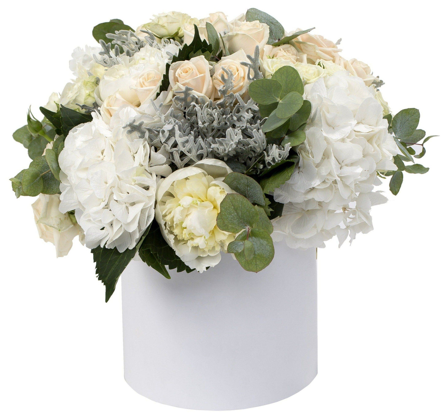 Luxury White Box