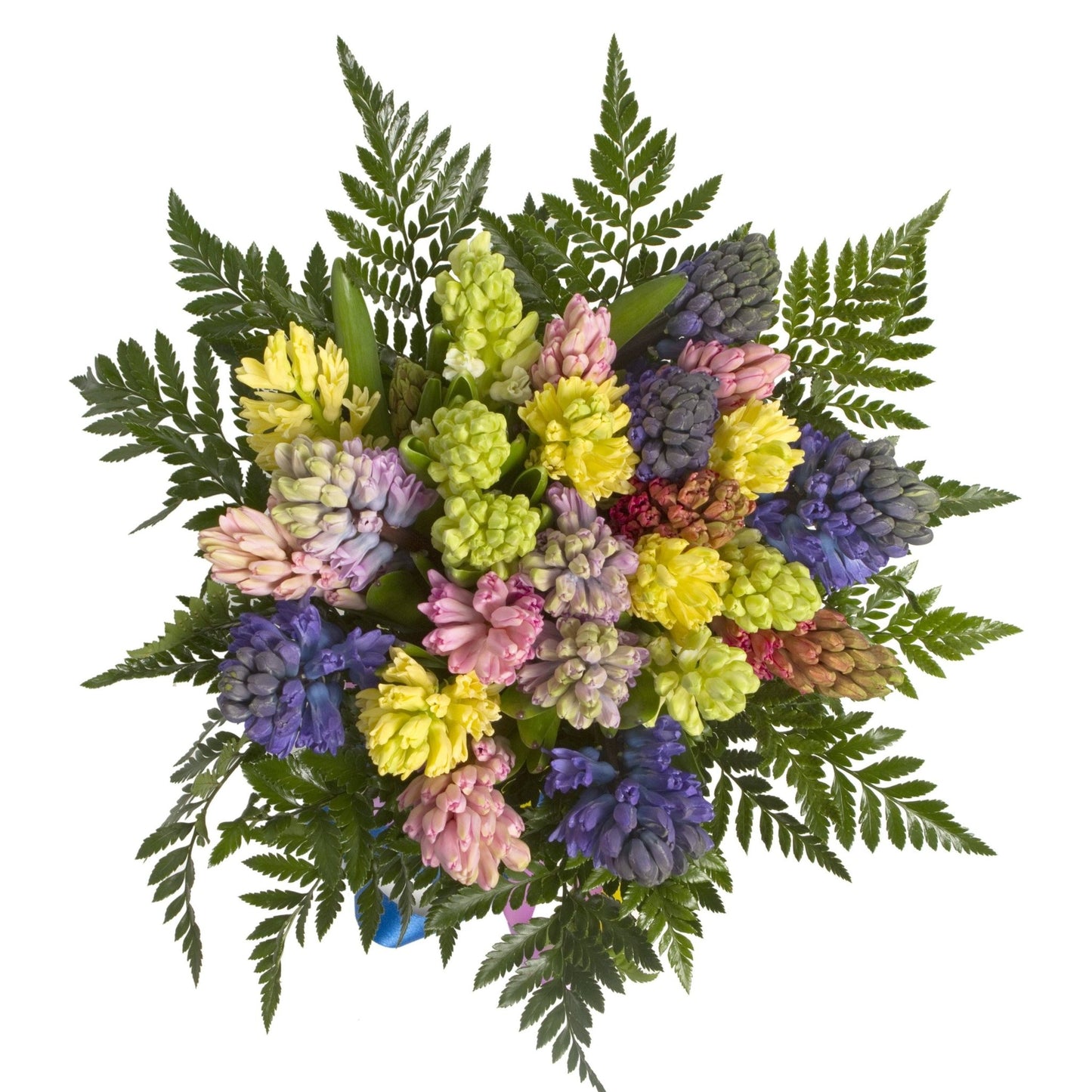 Mix Hyacinth Bouquet - Florist London