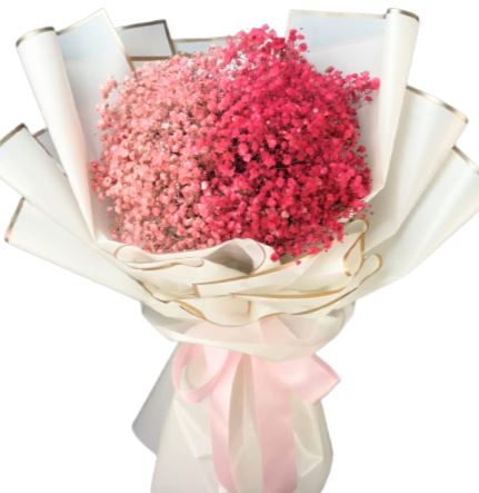 Peach and Cerise Baby's Breath Bouquet - Florist London
