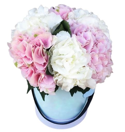 Pink and White Hydrangea Box - Florist London
